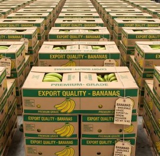 banana-1