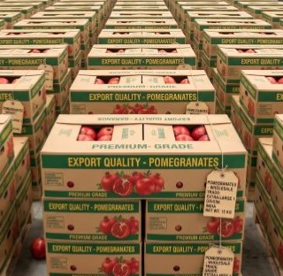 pomegranate-1